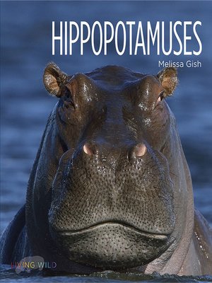 cover image of Hippopotamuses